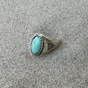 Passing Days - ?? Turquoise Oval Cut Cabochon