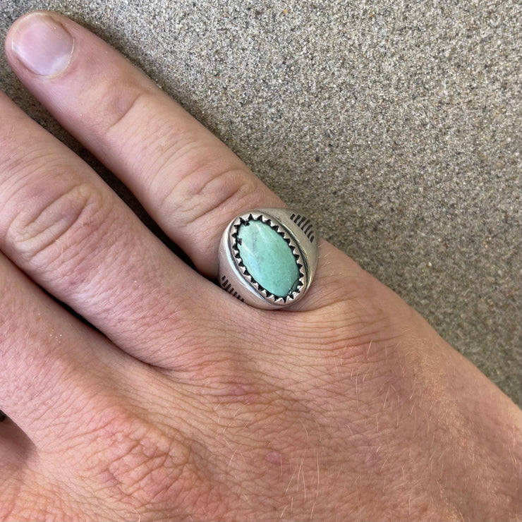 Passing Days - ?? Turquoise Oval Cut Cabochon
